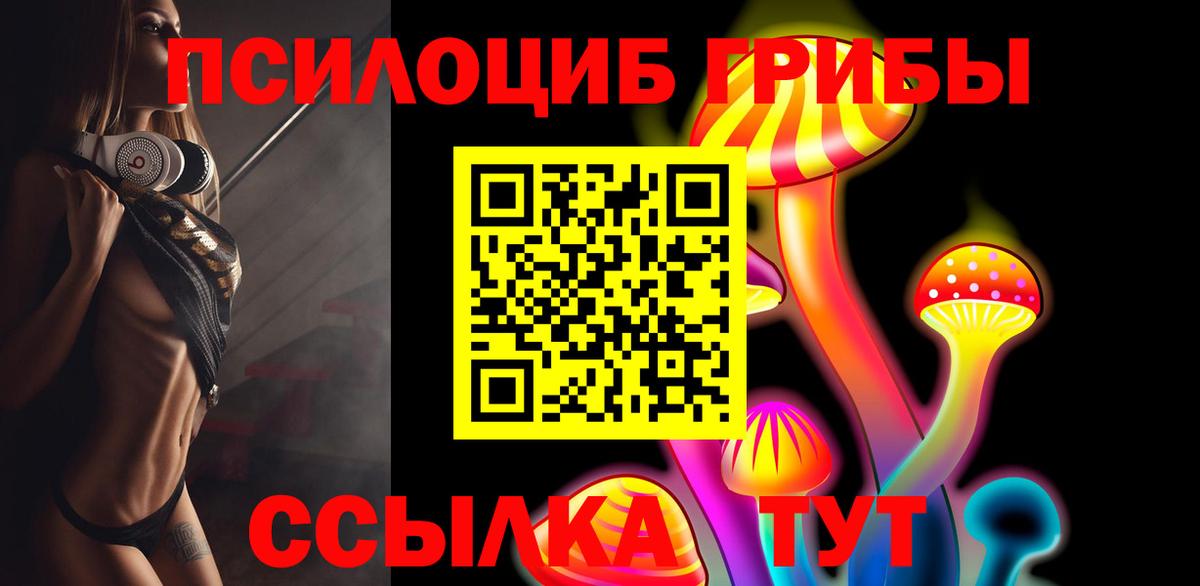 Галлюциногенные грибы Cubensis Камень-на-Оби