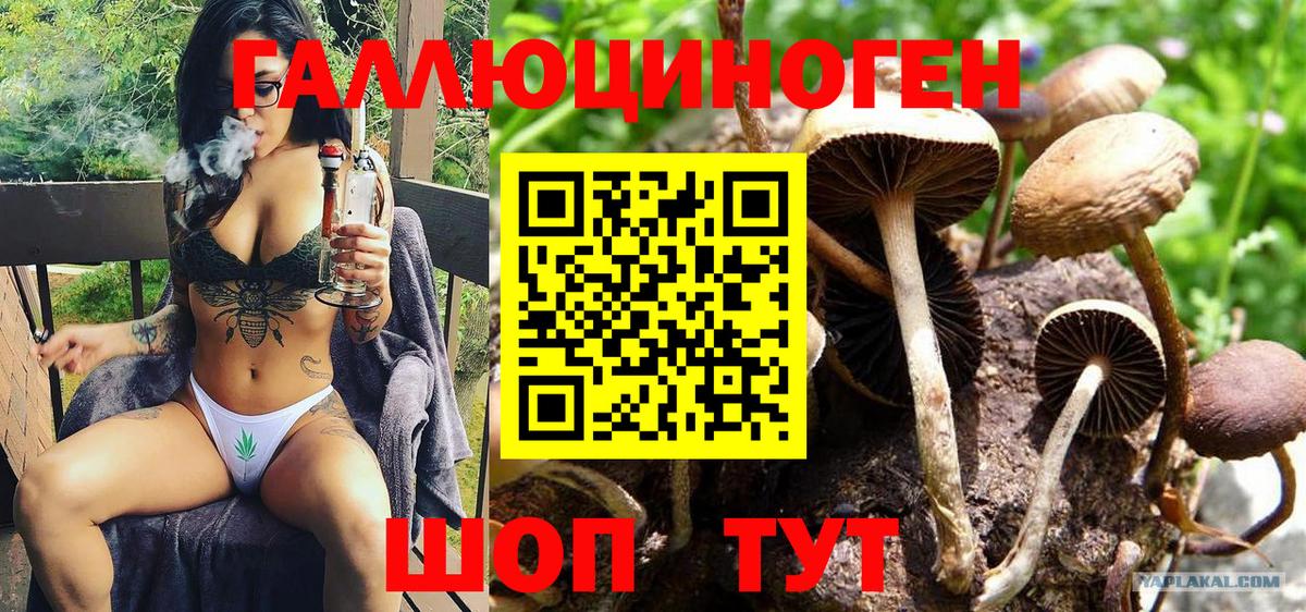 Галлюциногенные грибы Magic Shrooms  Вход с VPN  Галлюциногенные грибы мухоморы  Камень-на-Оби 